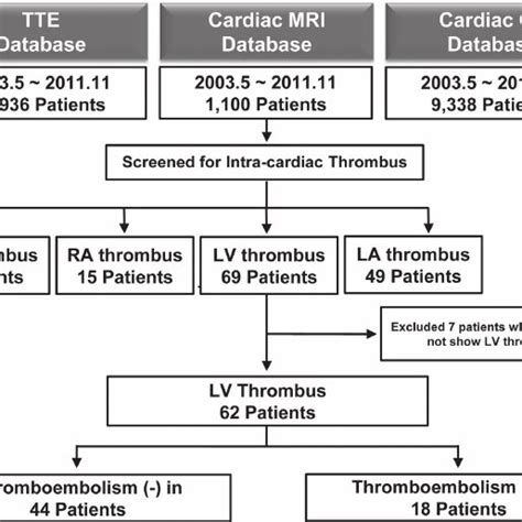 apixaban lv thrombus|lv thrombus treatment guidelines.